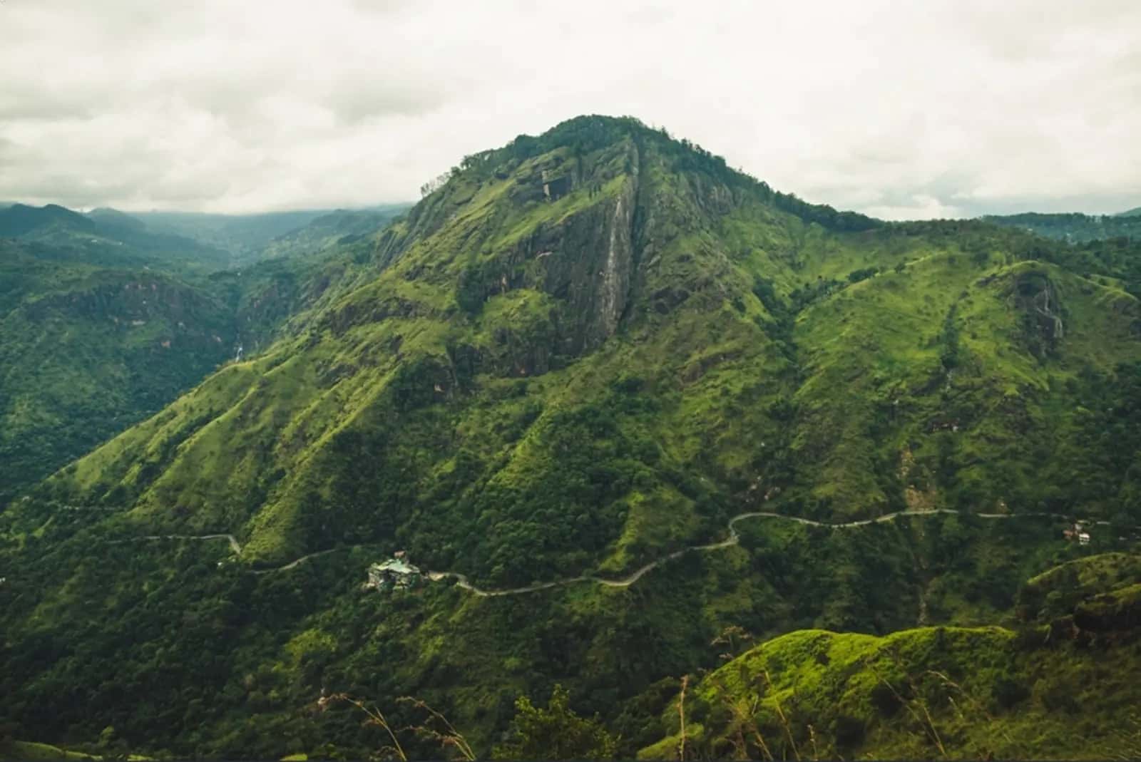 Ella Highlights: Nine Arch Bridge, Ravana Falls & Tea Hills