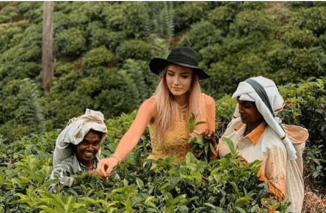 Three Days in the Hills: Tea, Trains & Mountain Views