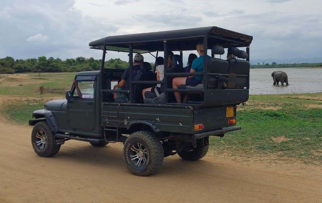 Udawalawe Safari: Wild Elephants & Orphan Calves